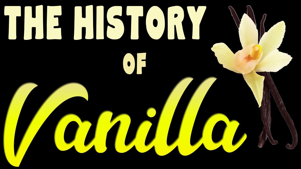 How VANILLA became a household name - The History of Vanilla