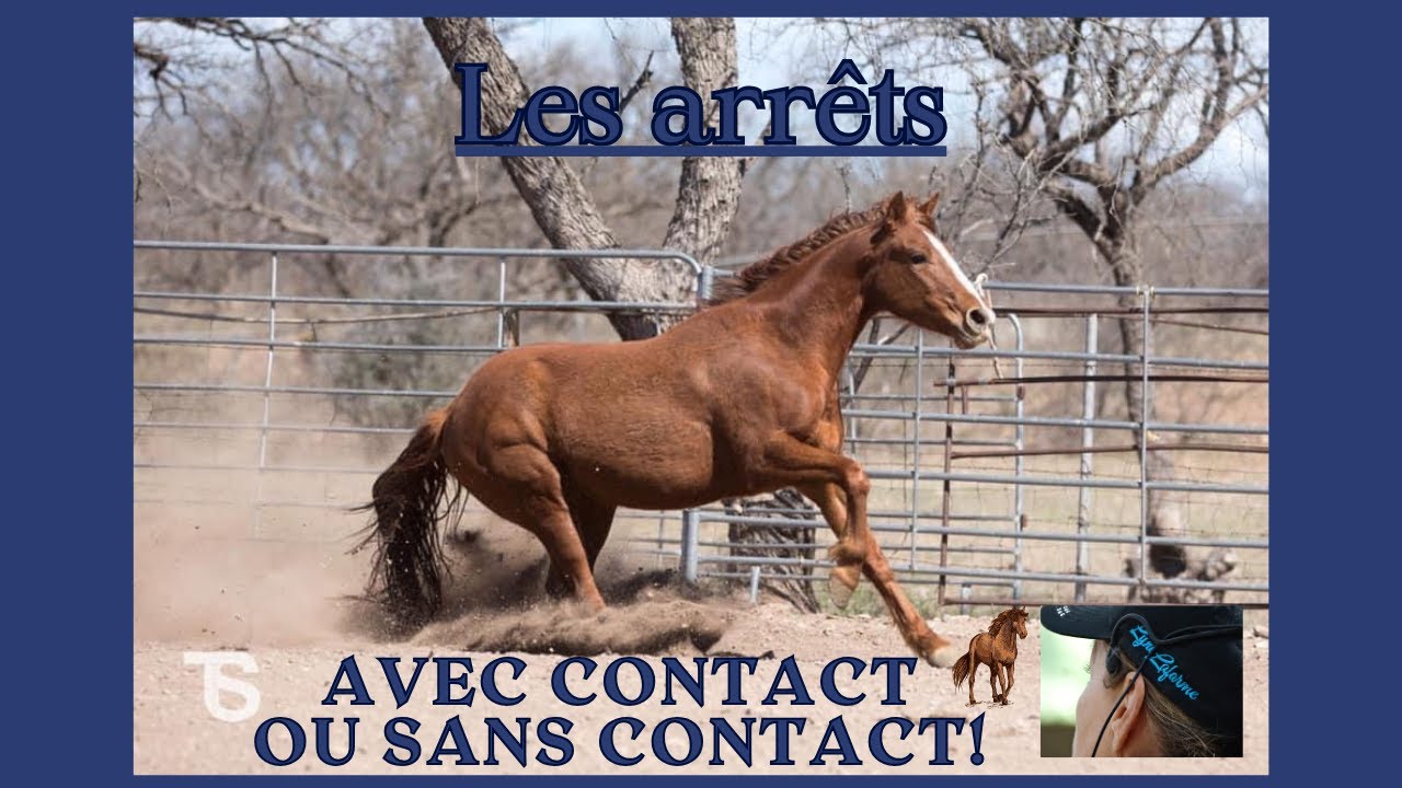 Les arrêts, ce que vous ne devez pas faire!!!