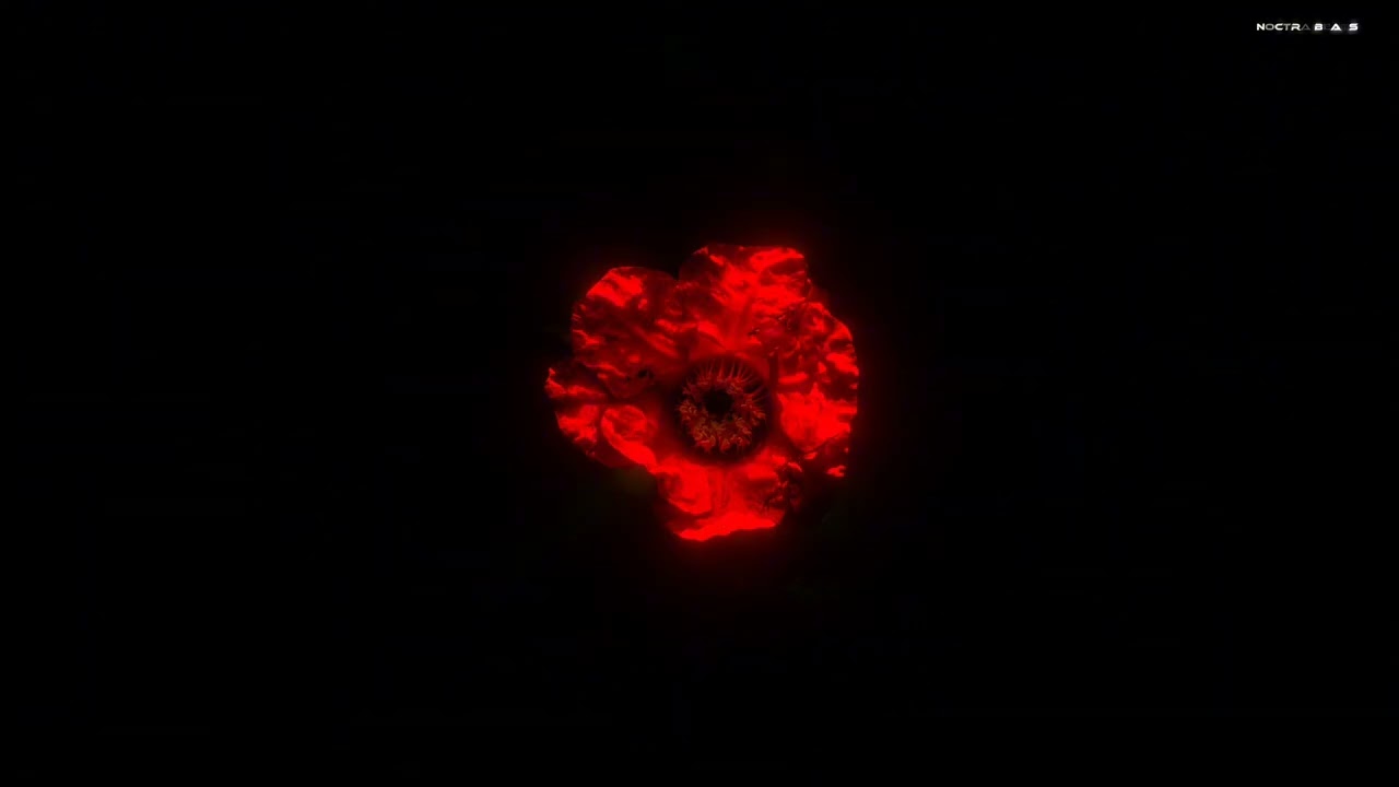 [FREE] EMOTIONAL TRAP TYPE BEAT 