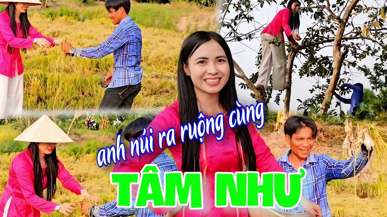 Anh Núi thánh leo dừa chơi lớn ra ruộng làm điều này cùng em Tâm Như ai xem cũng cười vỡ bụng