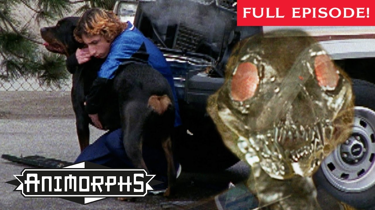 My Name Is Erek | Full Episode | Season 2 | Animorphs | Scholastic Classic