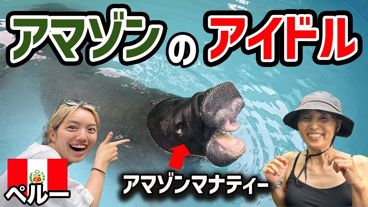 【歓喜】アマゾン川の保護施設で、かわいすぎる赤ちゃんマナティーを見つけてしまいました…