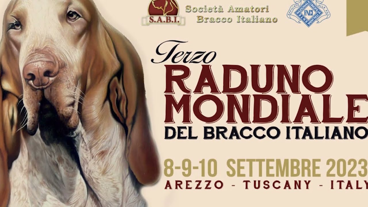 Terza "Mondiale" del bracco italiano: ad Arezzo cinofili da tutto il mondo