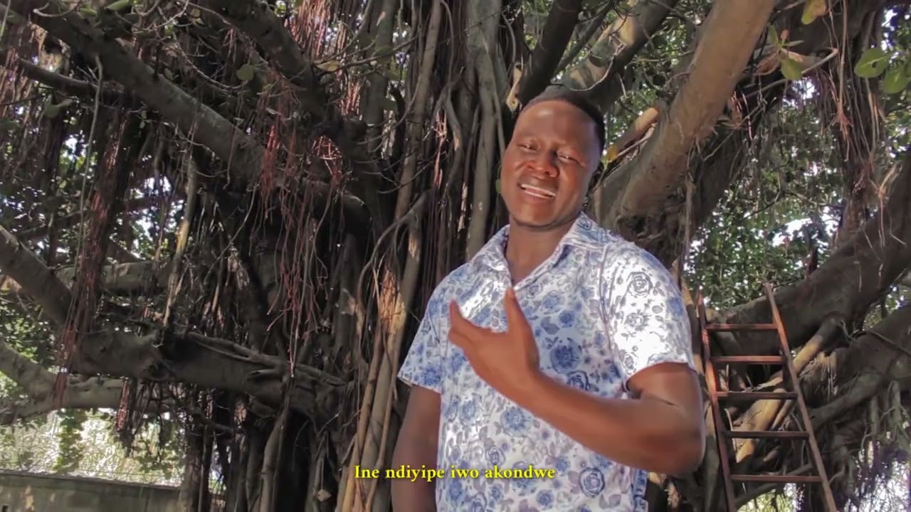 Ray Bee - Ndalema ( Official  Visualizer  )
