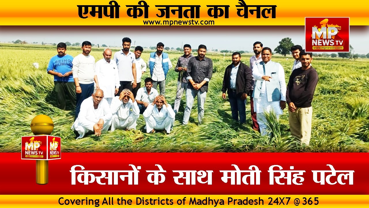 बारिश और आंधी-तूफान से फसल हुई तबाह, किसानों के लिए मोती सिंह पटेल ने उठाई आवाज! MP News Indore
