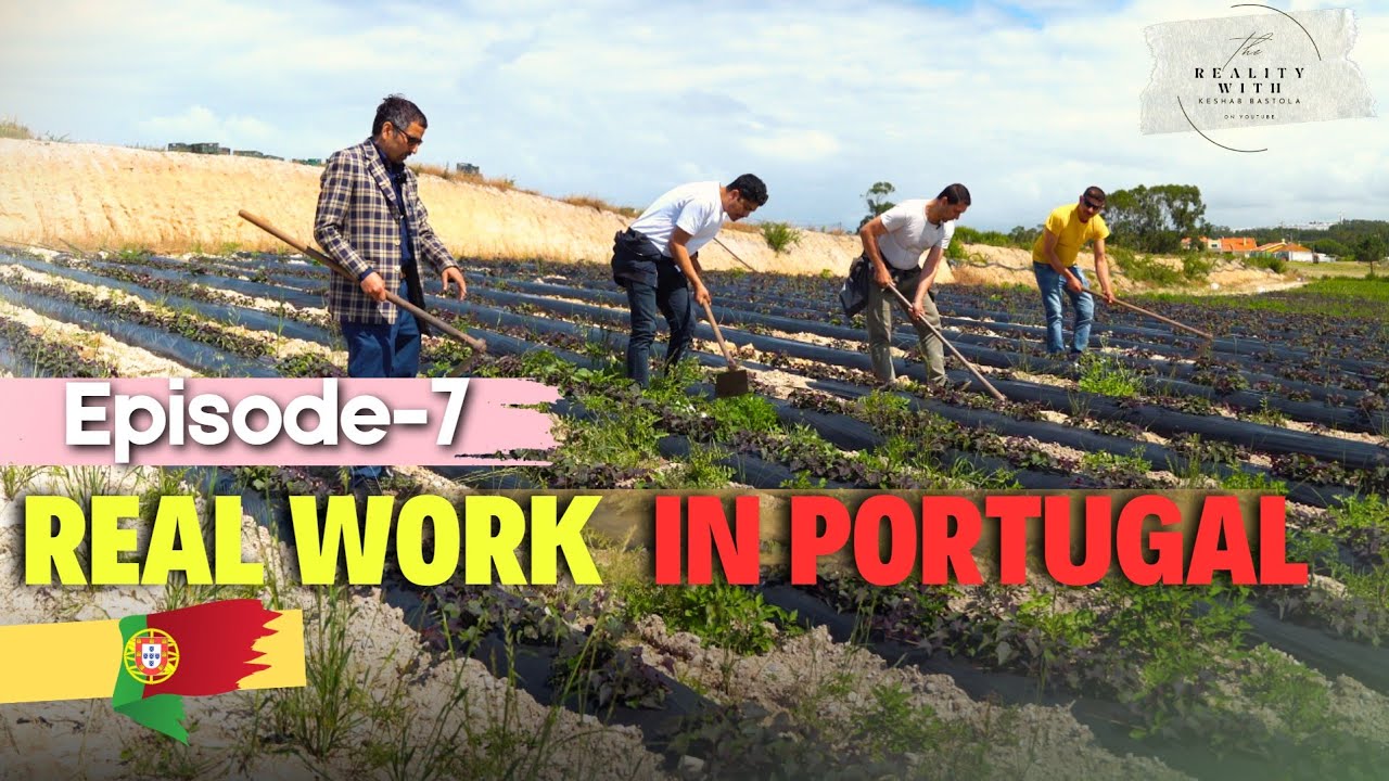 Reality-based Portugal agricultural work || agriculture work in Portugal 2024 ||(Keshab Bastola)