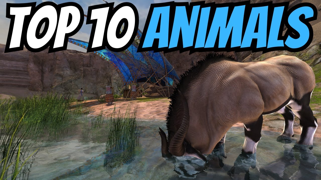 Топ-10 животных в Guild Wars 2
