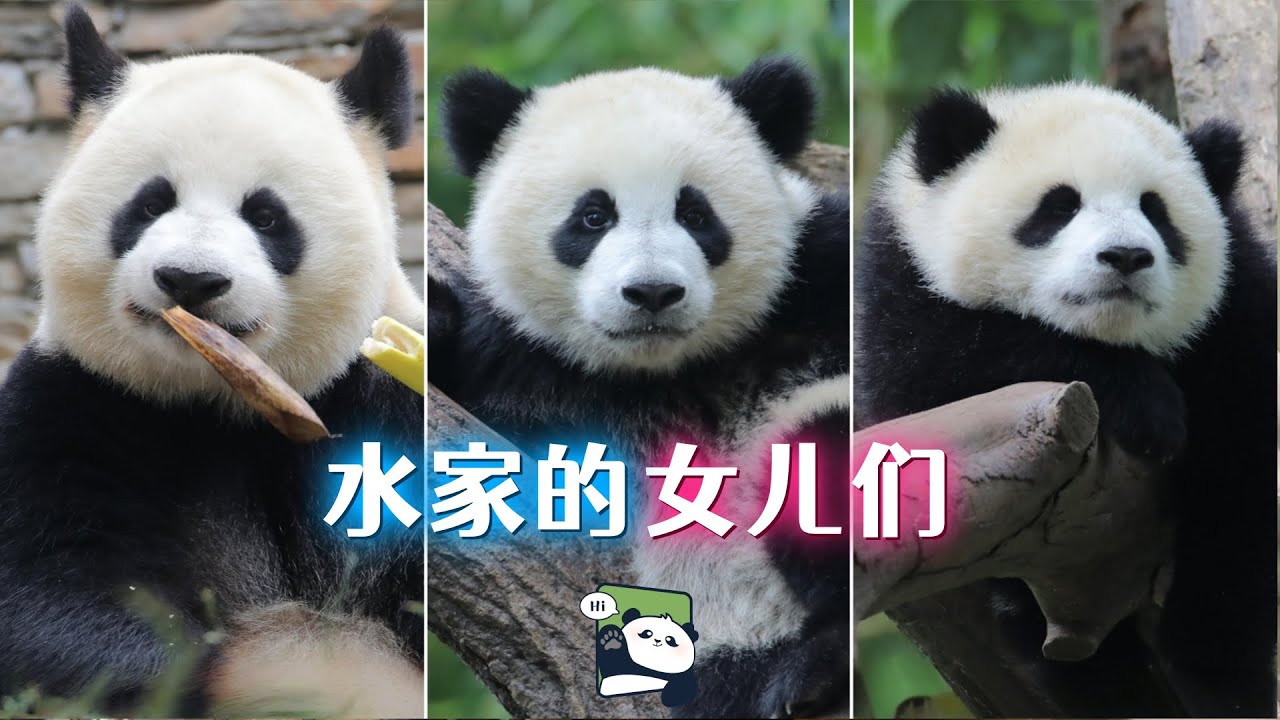 水秀家的女儿们：小女儿璨璨带娃中，灿阳青阳正可爱。盘点了不起的水家妈妈水秀、怡然怡畅、禄禄、水秀和璨璨