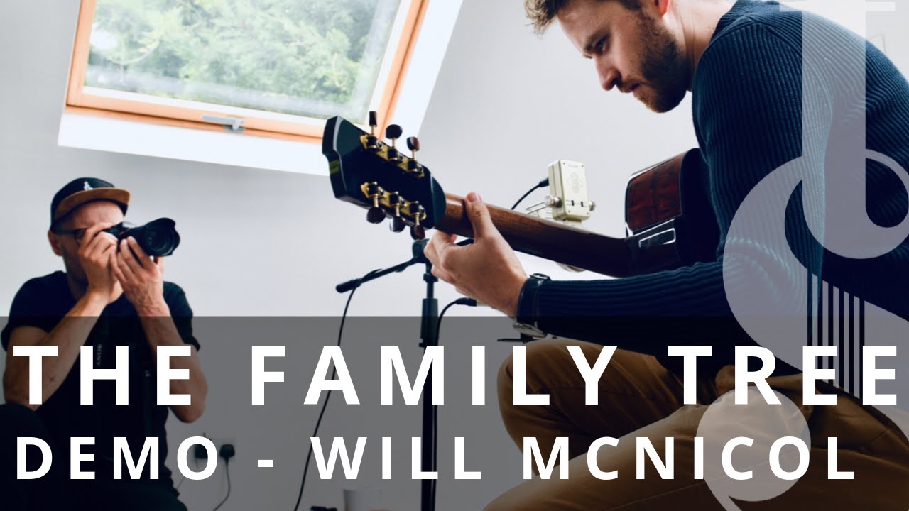 'A Dozen Red Roses' by Will McNicol - Tom Sands Guitars