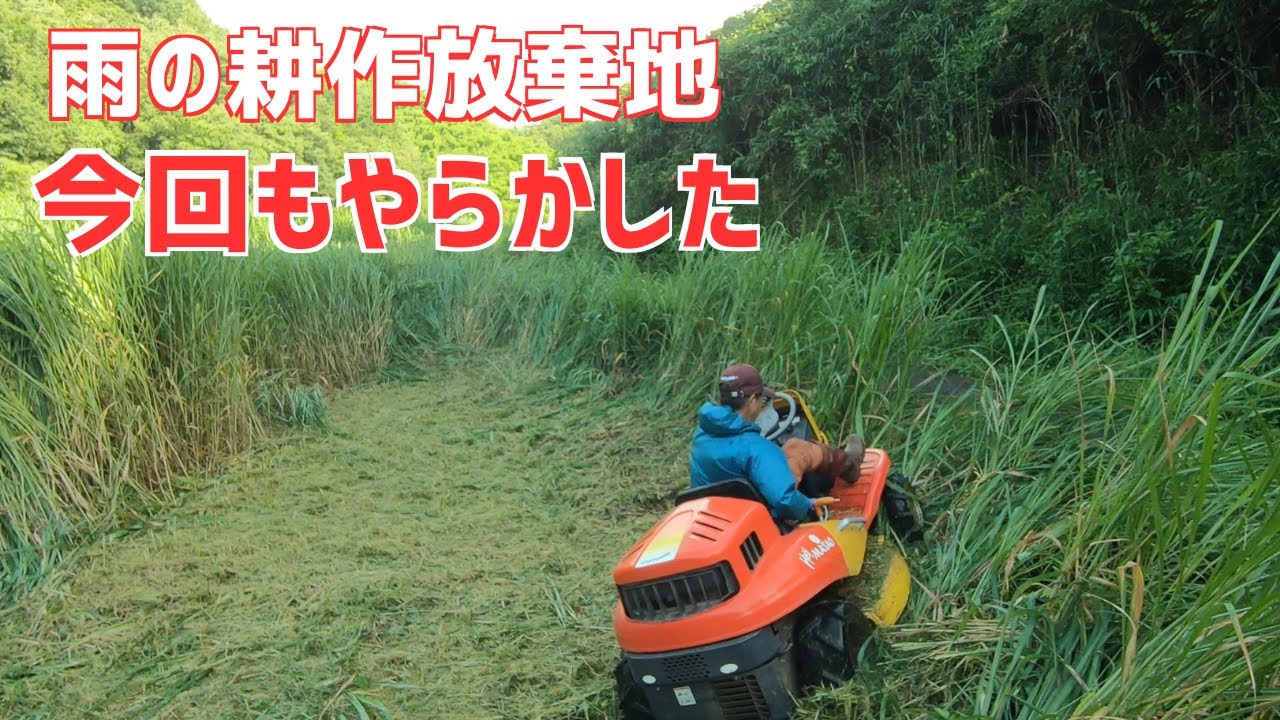 雨の耕作放棄地｜空調レインウエアー着てススキジャングルに突入する！