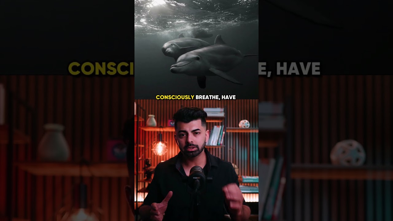 If Sleep Is So Dangerous&hellip; Why Did Evolution KEEP It?