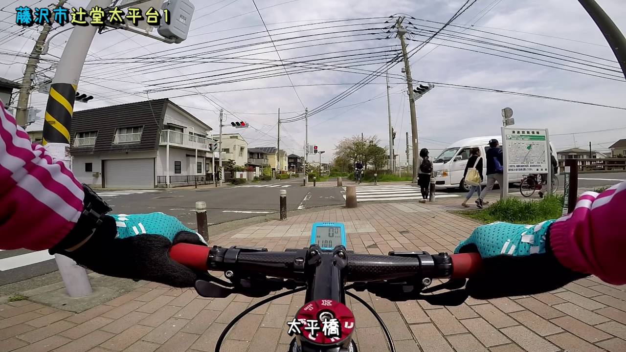 2016年 引地川の桜 ×1.8倍速