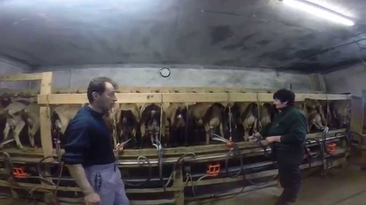 Daurel Tour - Ferma de Capre in Germania.