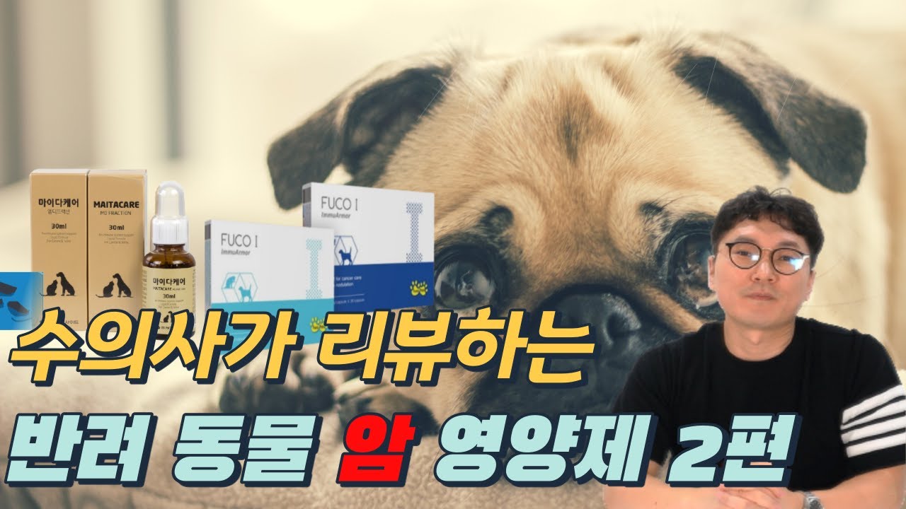 반려 동물 종양 영양제 2탄, 타히보부터 동충하초까지~