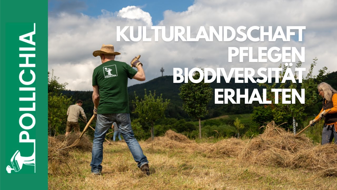 Insektenparadies Magerwiesen - Landschaftspflege im Berntal