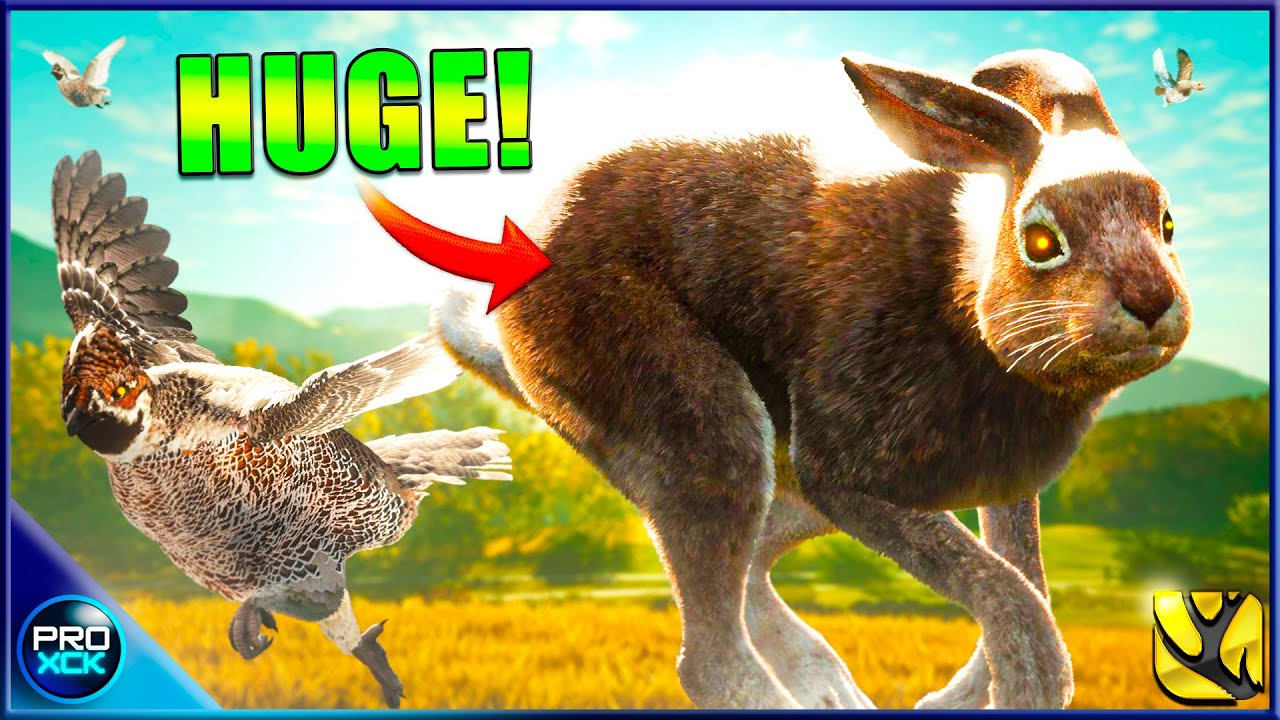 Diamond Mountain Hare! | Getting Ready for the NEW Map in theHunter Call of the Wild