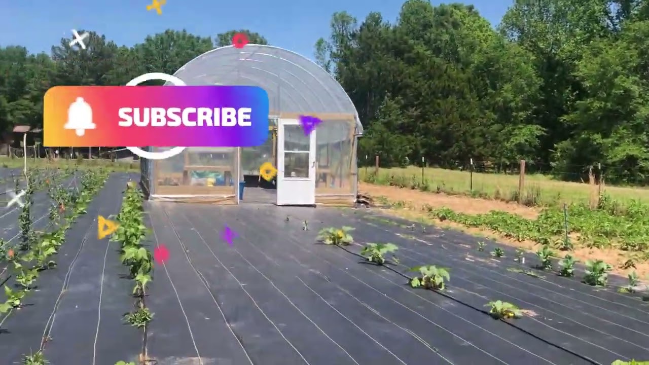 Early Garden Tour/Homestead Pest Control