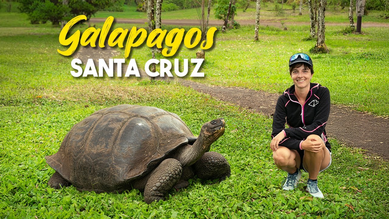 Le TARTARUGHE GIGANTI sono assurde! 🤯 Viaggio incredibile alle GALAPAGOS - SANTA CRUZ