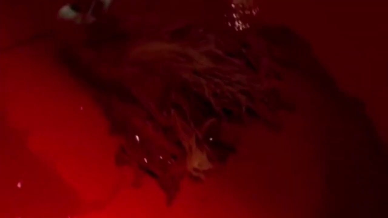 Most normal transition in Breaking Bad