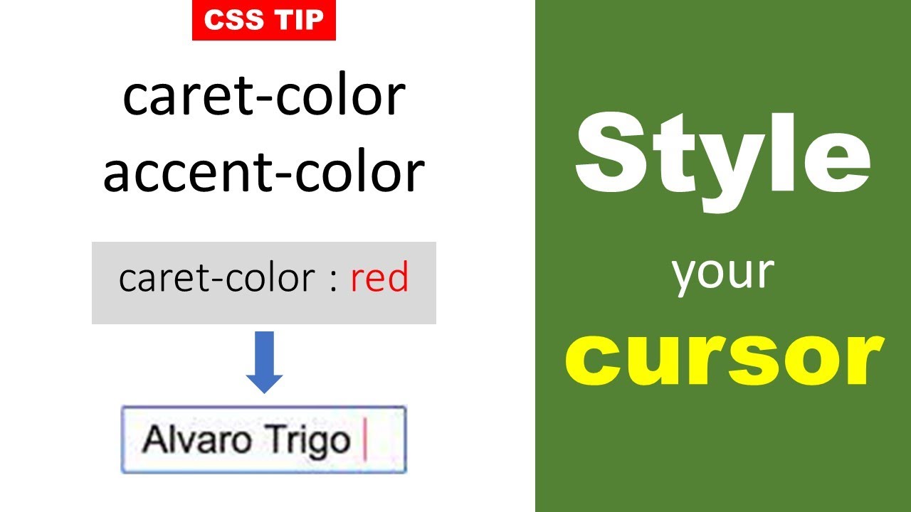 Change input caret color in CSS | Change cirsor color | caret-color Property | CSS Tip