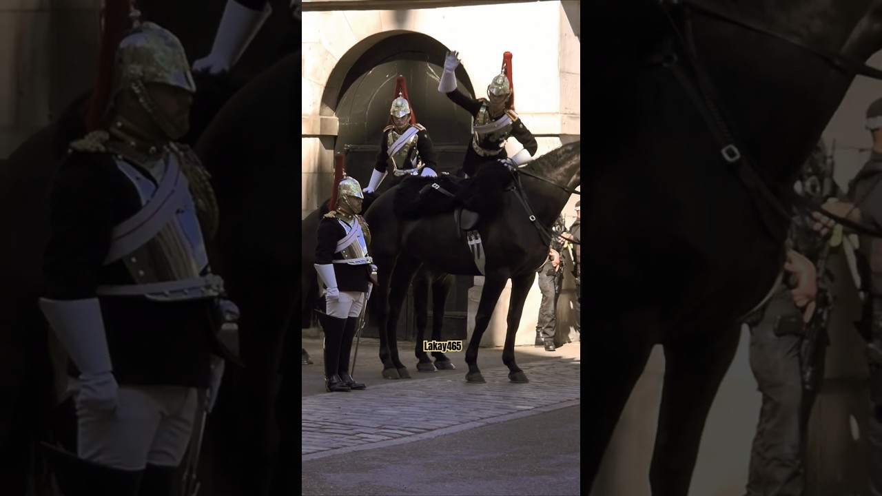 BOXMAN'S INSPECTION WITH THE CAPTAIN  #kingsguard #horseguards #royalhorseguard #history