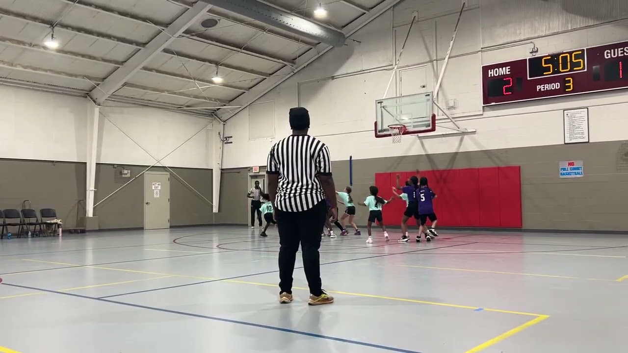 Liberty vs lakers 