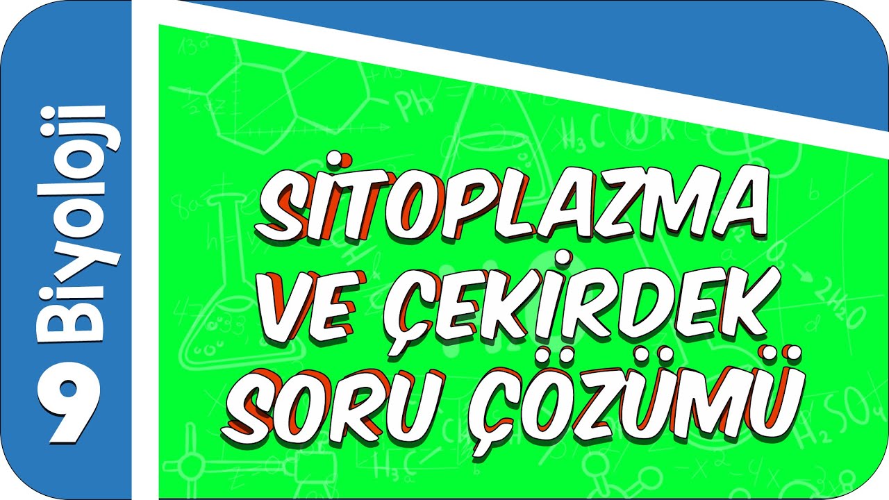 9. Sınıf Biyoloji: Sitoplazma ve Çekirdek Soru Çözümü #2022
