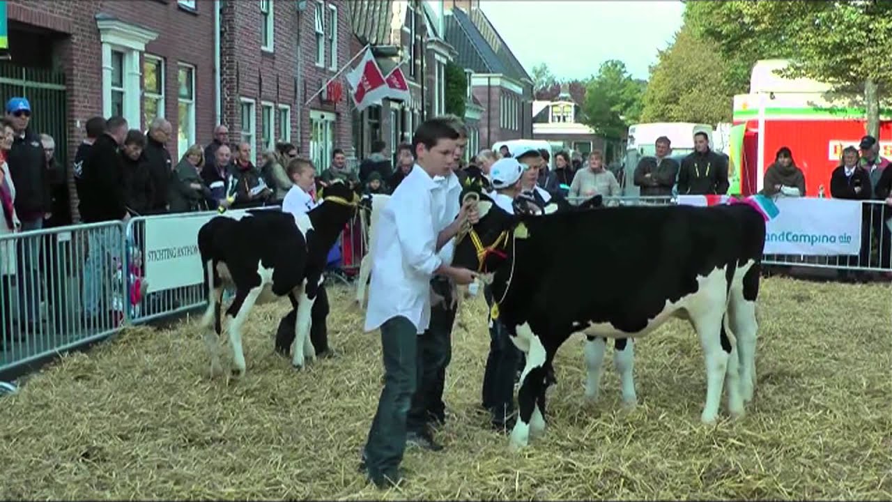 GPTV: Bolletongersdei in Bolsward