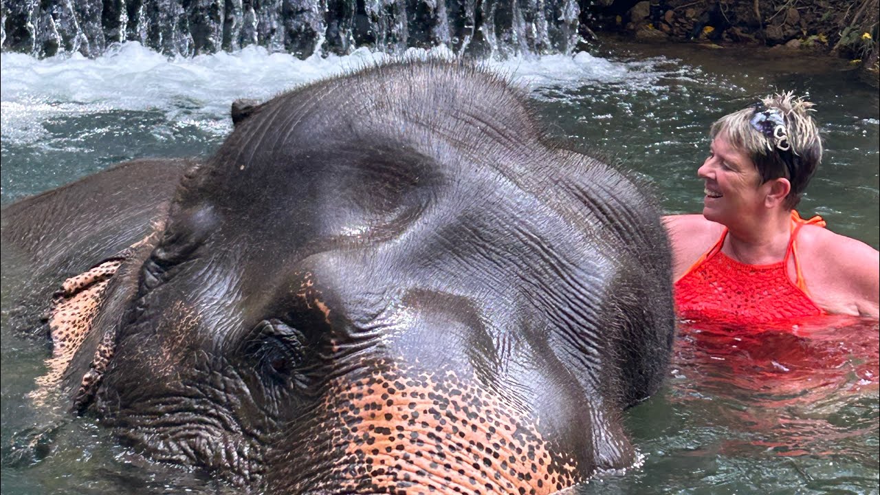 Krabi Elephant Care