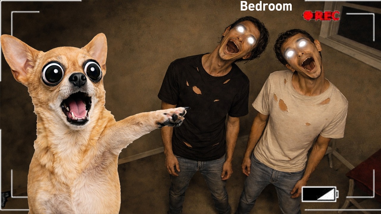 MY OWNERS ARE POSSESSED...