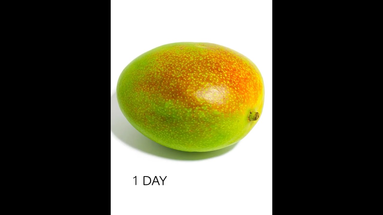 Mango Timelapse 