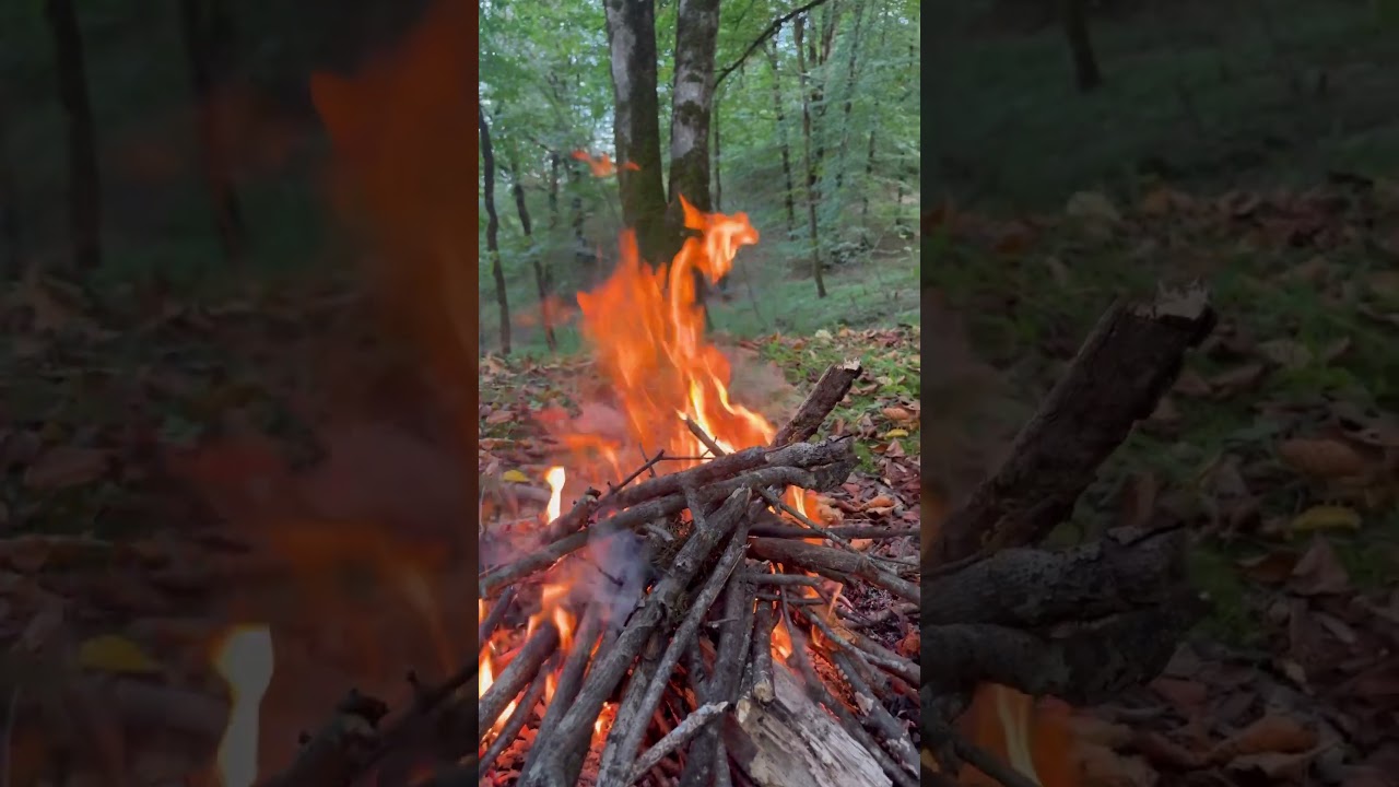 Meditation by the fire in the heart of the forest #meditation #forest #fire #forest #jungle