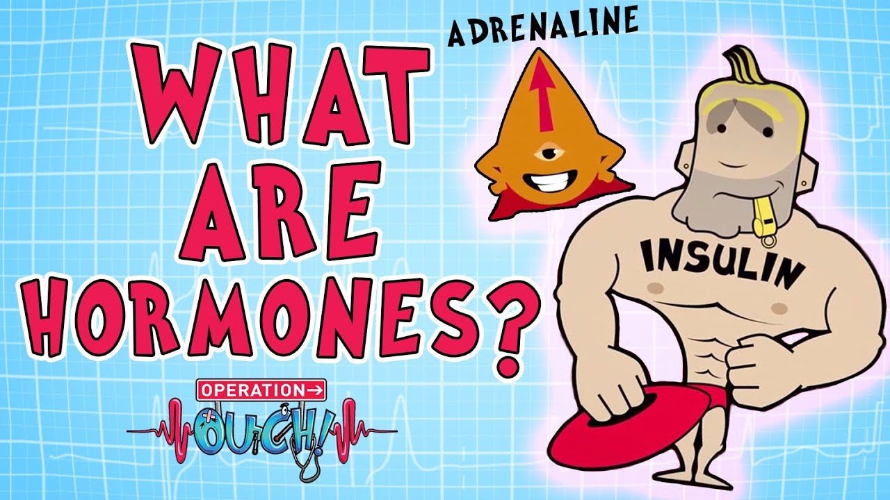Operation Ouch - Hormones | Biology for Kids
