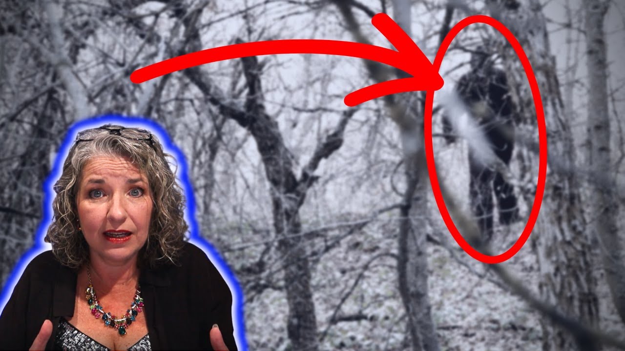The WILDEST Bigfoot Encounter in Washington History