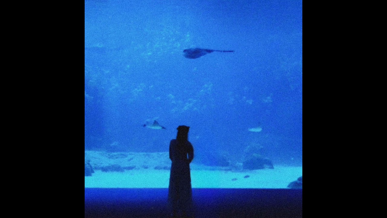Mattyeux, Princess Chelsea - Sometimes (chelsea part only slowed, best part only slowed)