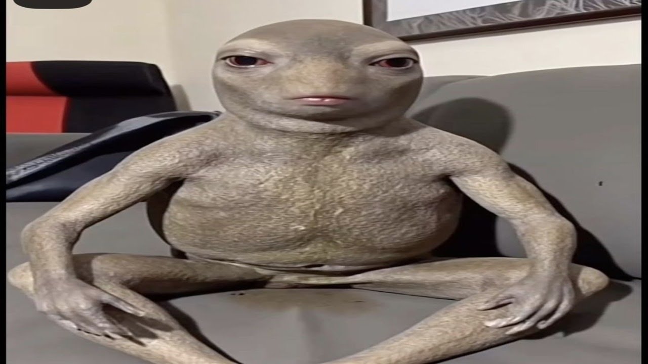 TRY NOT TO LAUGH — 0% FAIL RATE