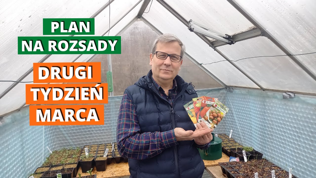 Czas na pomidory. Co siać w drugim tygodniu marca. Co siać w marcu.