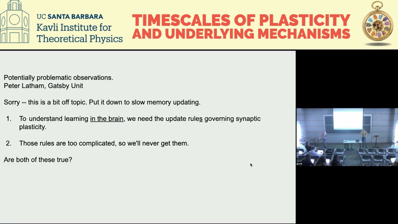 Perspectives and Discussion: Memory updating ▸ All #brainlearn-c23 conference participants