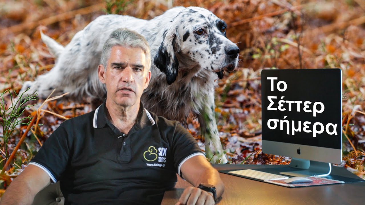 Το Σέττερ σήμερα❗