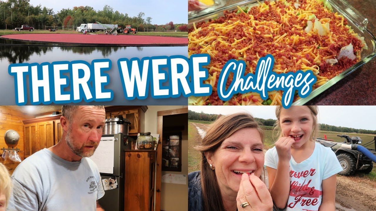 Cranberry Harvest & Meal Prep - IT HAD ITS CHALLENGES