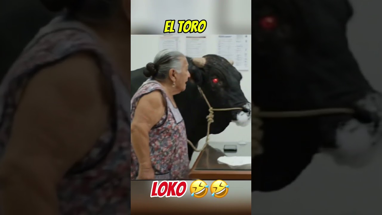 El toro loco en el doctor 🤣🤣
