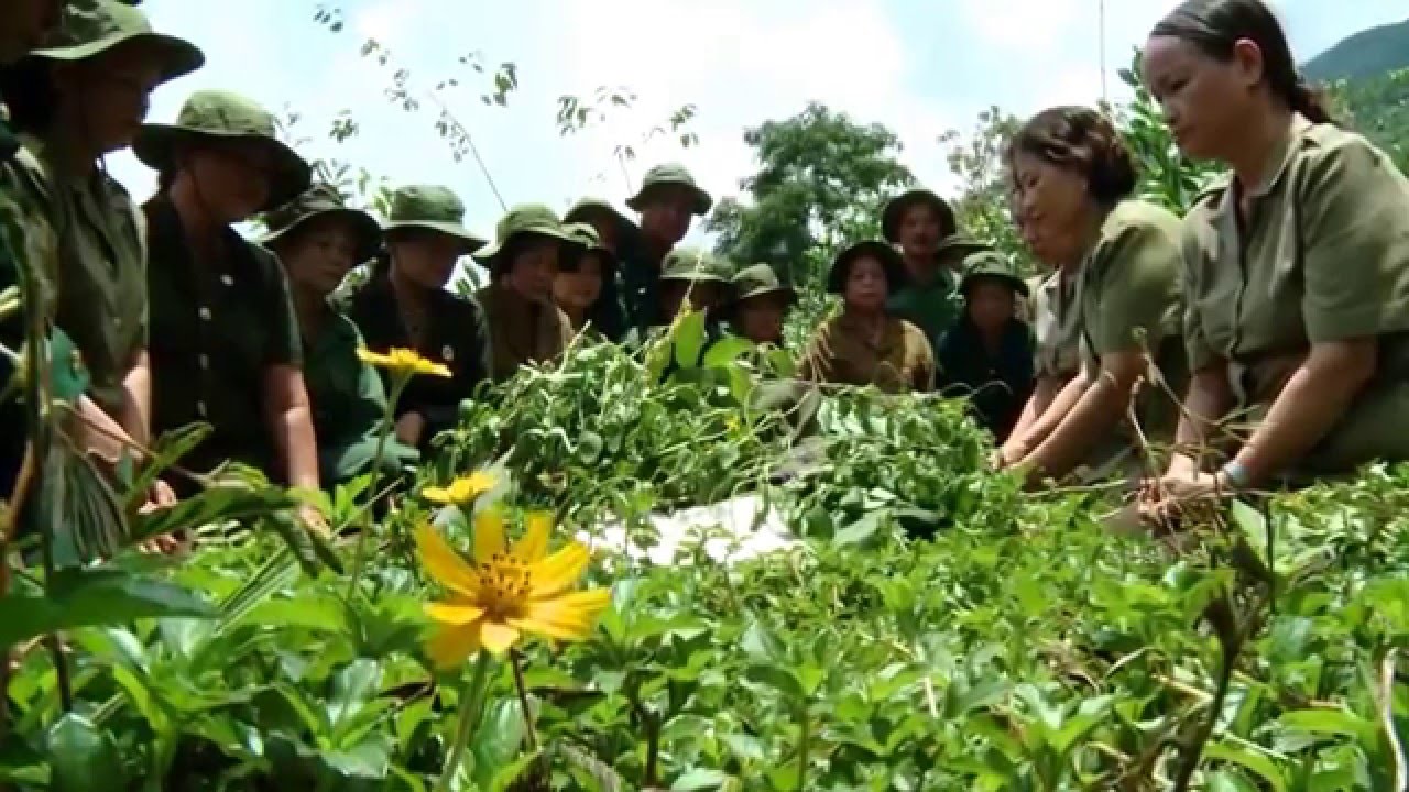 Phim Dân ca bài chòi MỘT THỜI ĐỂ NHỚ - Trần Chiến Chinh