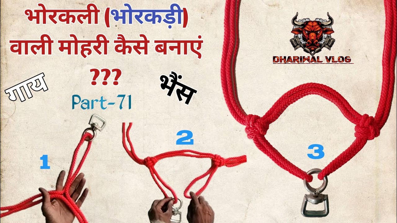 गाय, भैंस की भोरकली वाली मोहरी कैसे बनाएं ???  