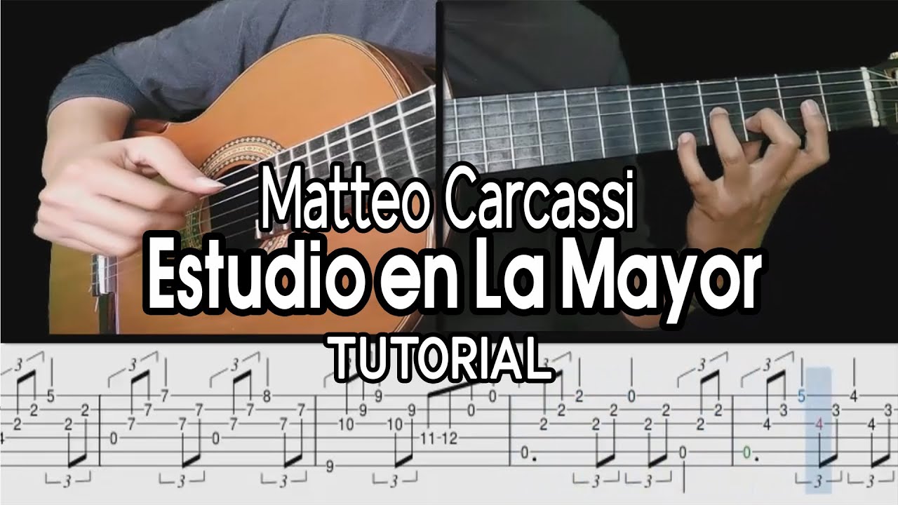 Estudio 3 - Carcassi (Tutorial)
