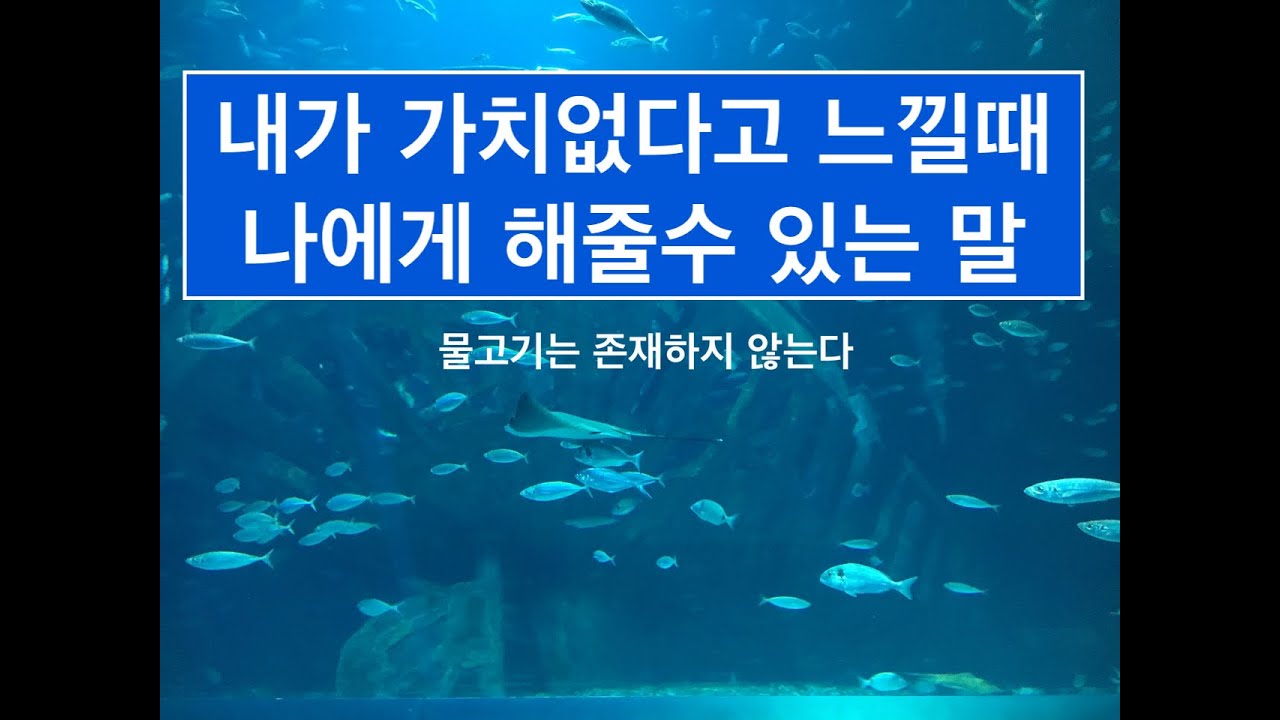 (책감상시) 물고기는 존재하지 않는다, 상실과 외로움 방황의 시기에 희망을 주는 꼭 읽어봐야 할 책.