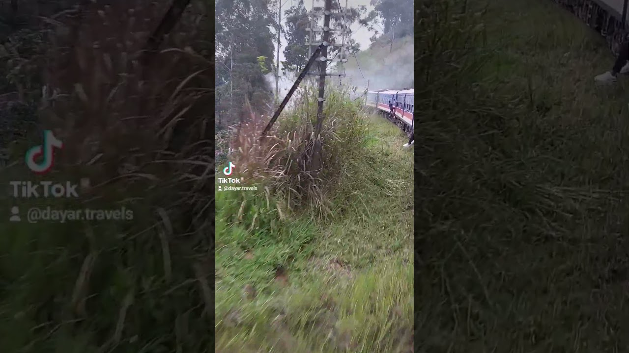 Train Ride Joy #viral #subscribe #trending #srilanka #travel
