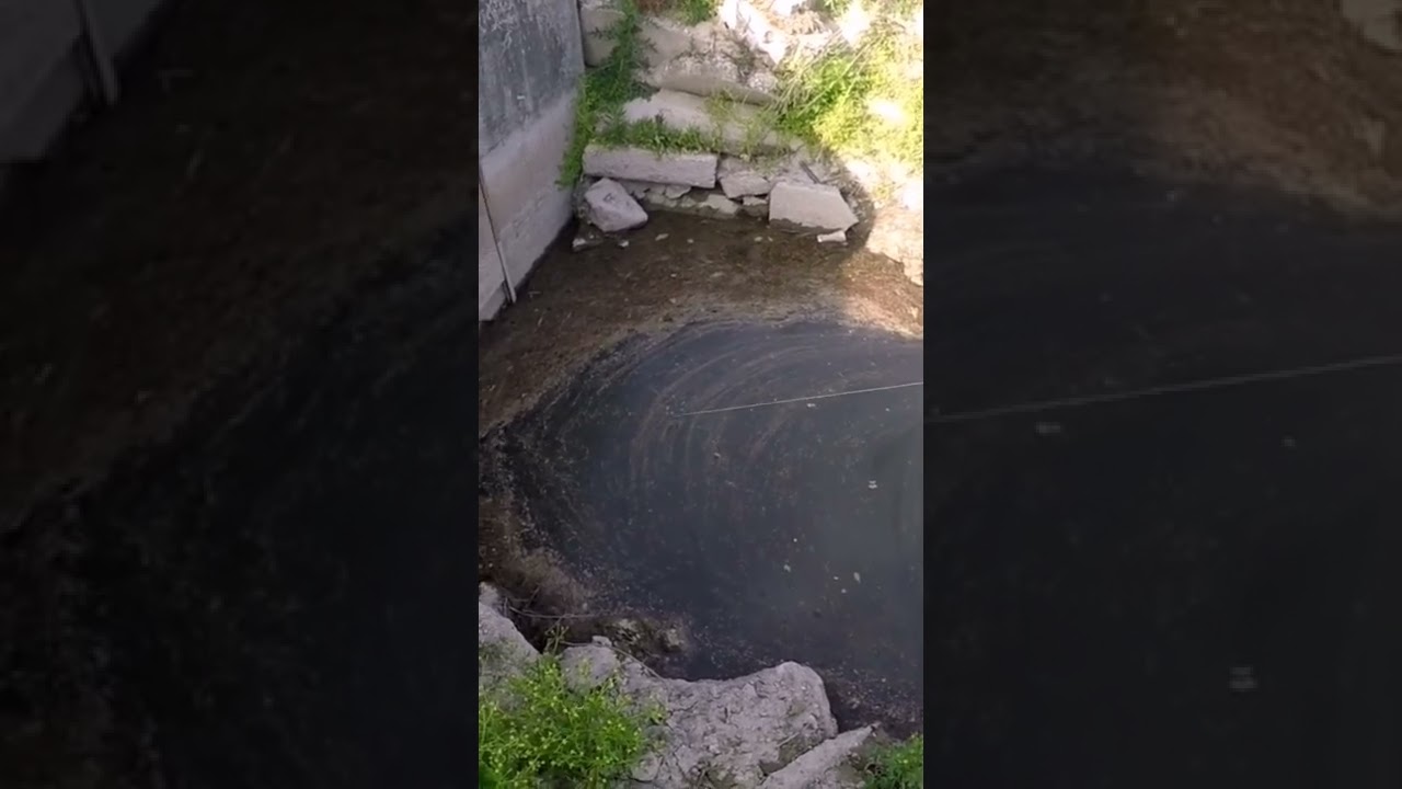 MANGIATE IN DIRETTA |CARPE A STOLKING|FOSS FISHING|