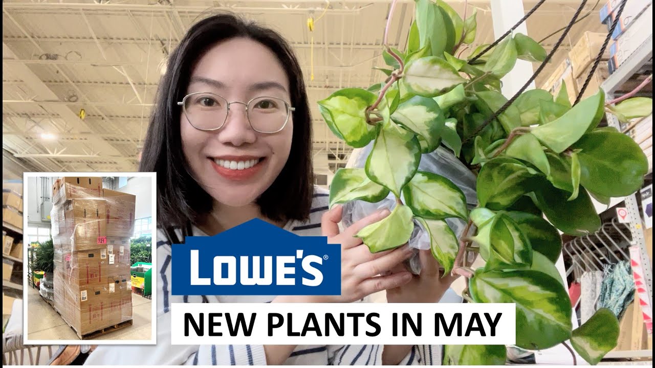 Lowe’s May Plant Restock: Hanging Baskets, New Plants, and More | Plant Shopping 2022