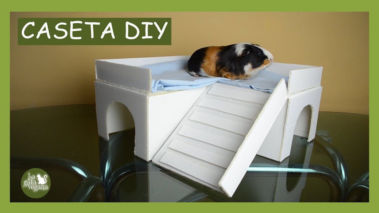 DIY CASETA CON TERRAZA PARA COBAYAS, CONEJOS , CHINCHILLAS O ERIZOS | HAZLO TÚ MISMO | LAGATAVEGANA