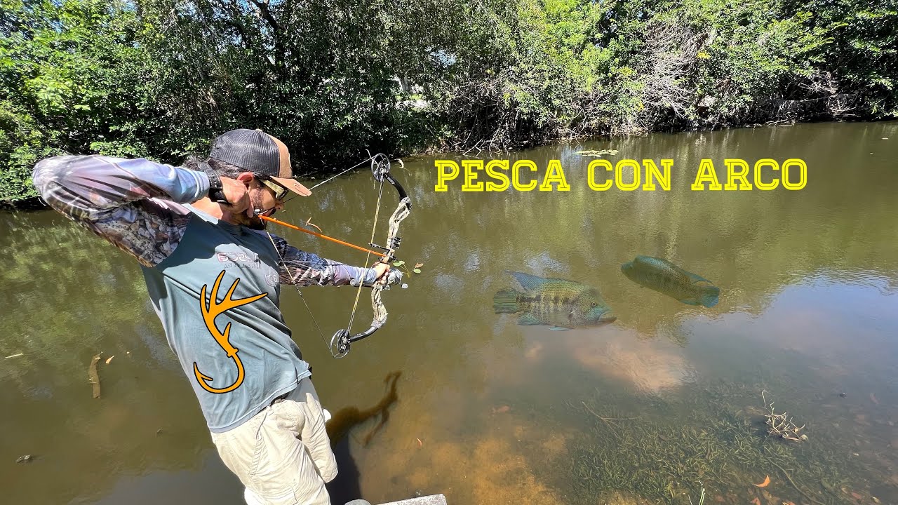 Buscando AL Pez Leopardo Pescado Y Cocinado